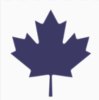 Prabhjot Singh logo